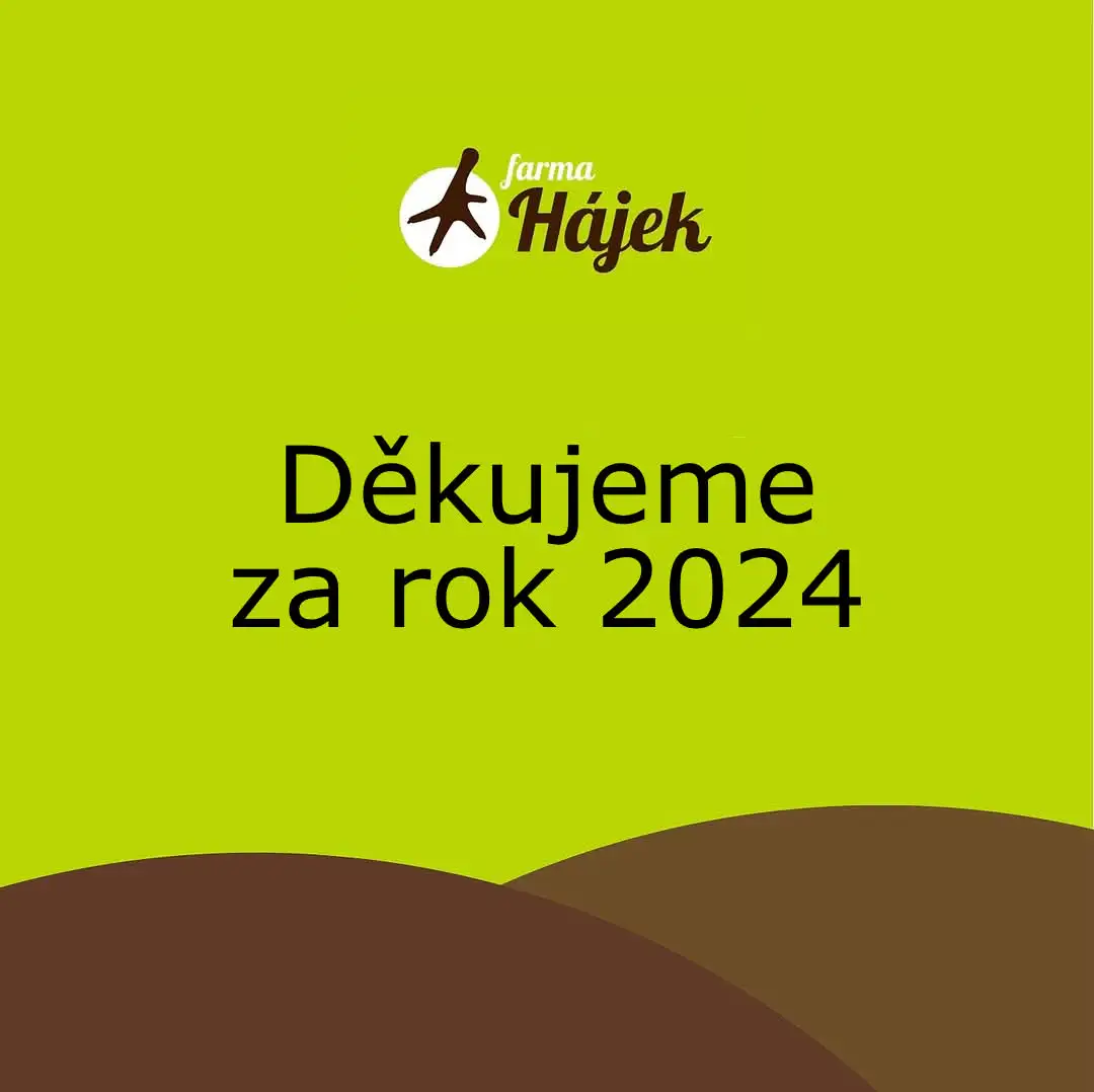 Děkujeme za rok 2024