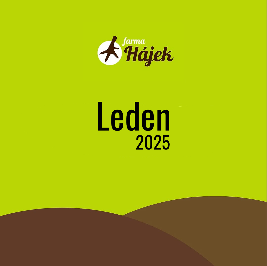 Leden 2025